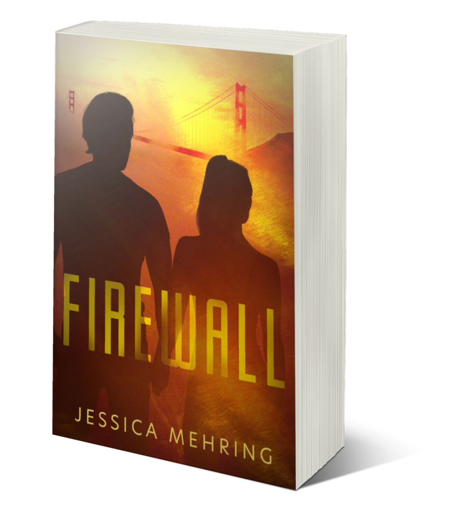 Firewall paperback